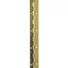 Charnière de piano carrée - axe mobile Interges