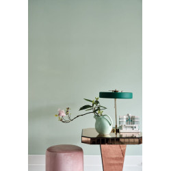 Peinture Farrow & Ball Estate Emulsion 5 L – Mat 2 %