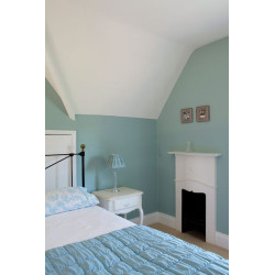 Peinture Farrow & Ball Estate Emulsion 5 L – Mat 2 %