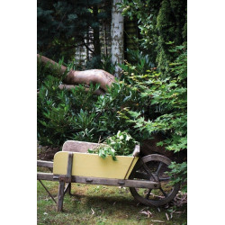Peinture Farrow & Ball Full Gloss 750 ml – Finition ultra-brillante durable