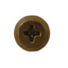Vis de pareclose autoforeuse Ø4 x 12.5 mm