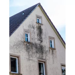Additif détergent D’Boost Dalep 5L – Booster pour fongicides et nettoyant puissant