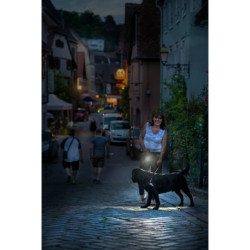 Projecteur LED portable PF 1000 Brennenstuhl rechargeable
