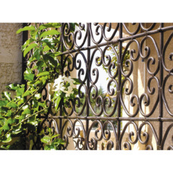 Rustol antirouille incolore Owatrol