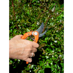 Sécateur 1 main ouverture 25 mm Bahco