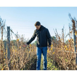 Veste softshell chauffante G-HEAT
