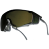 Surlunettes de soudage Squale Bolle Protection Teinte 5