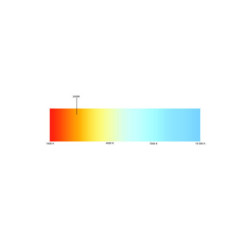 Ampoule LED filament ST64 ambrée dimmable XXCELL 9W E27
