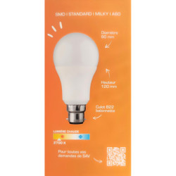Ampoule LED XXCELL A60 B22 XX500542 13W 1521lm 2700K
