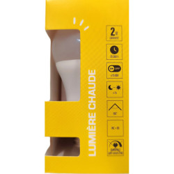 Ampoules LED XXCELL A60 E27 13W 1521lm 2700K milky (x2)