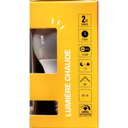 Ampoules LED XXCELL A60 E27 XX500092 8W 806lm 2700K milky (x2)