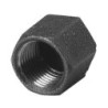 Bouchon Fonte galva Femelle Somatherm N°300