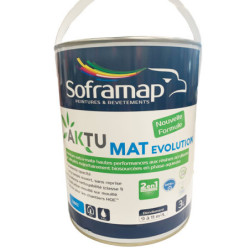 Peinture intérieure extra-mate Soframap blanc