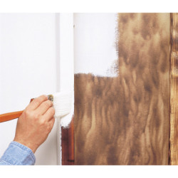 Primaire isolant solvanté B-I-N Zinsser blanc