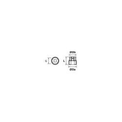 Douille 6 pans Mob 1/4''