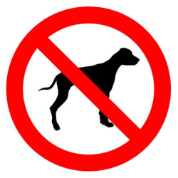 Sticker Viso « Chien interdit » – signalétique intérieure adhésive