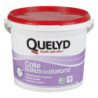 Colle dalles de plafond Quelyd 4kg