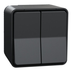 Interrupteur double Mureva Styl Schneider - Étanche IP55 - Gris anthracite
