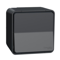 Bouton poussoir Mureva Styl Schneider IP55 IK08 gris
