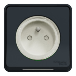 Prise 2P+T Mureva Styl Schneider IP55 IK08 gris