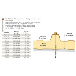 Vis Têtalu Faynot P5 6,3×75 mm TK12 Brun RAL 8012 – Sachet 100 pcs