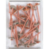 Ensemble de vis inox cuivrées Faynot 4.5 x 65 mm + rondelle vulca Ø20 pour rives 100 pcs